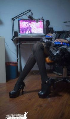 哺乳动物在线观看_高清免费在线播放